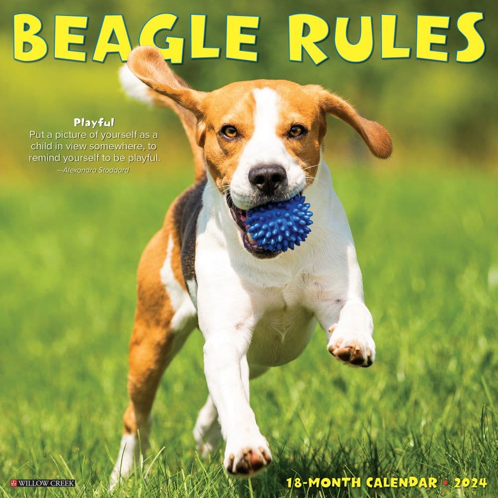 Beagle Rules 2024 Wall Calendar