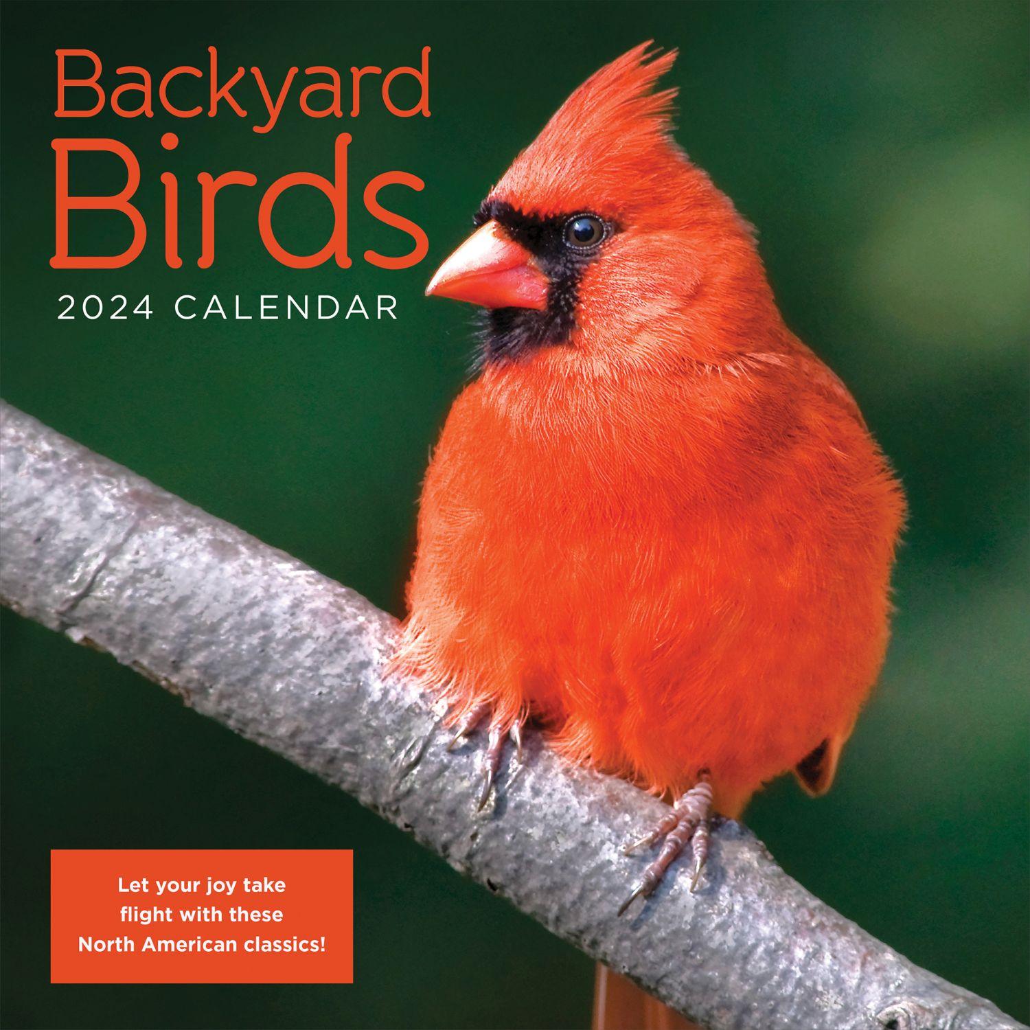 Backyard Birds 2024 Wall Calendar