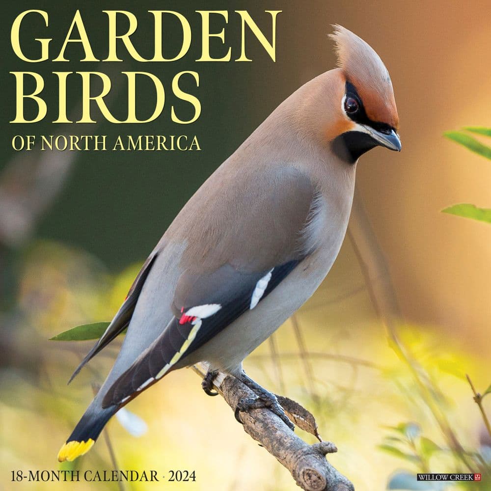 Garden Birds 2024 Wall Calendar