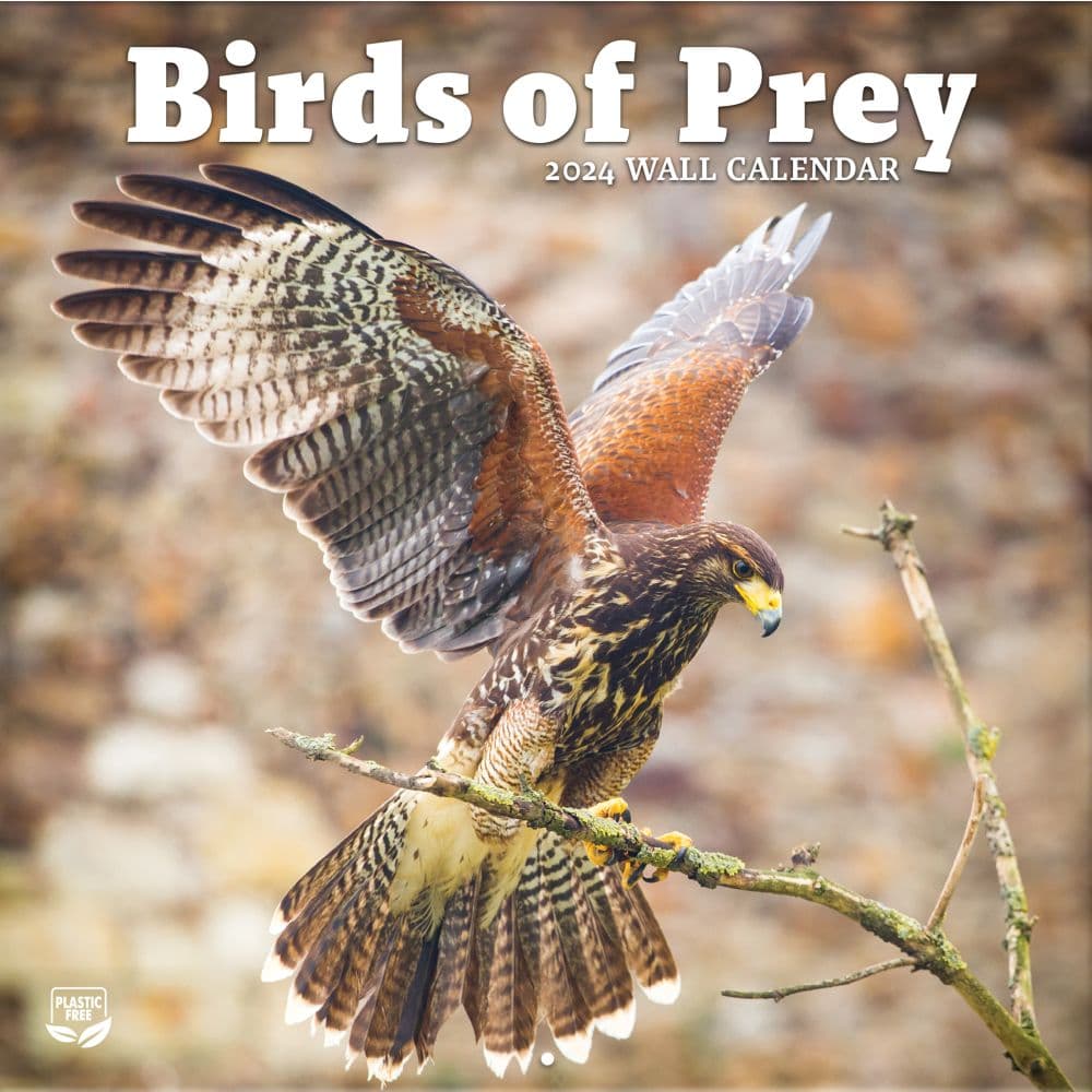 Birds Of Prey Photo 2024 Wall Calendar