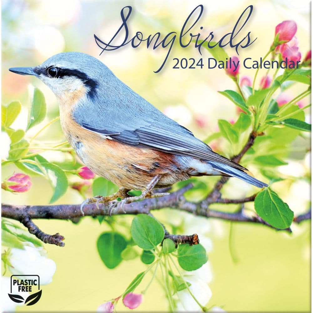 Songbirds 2024 Desk Calendar