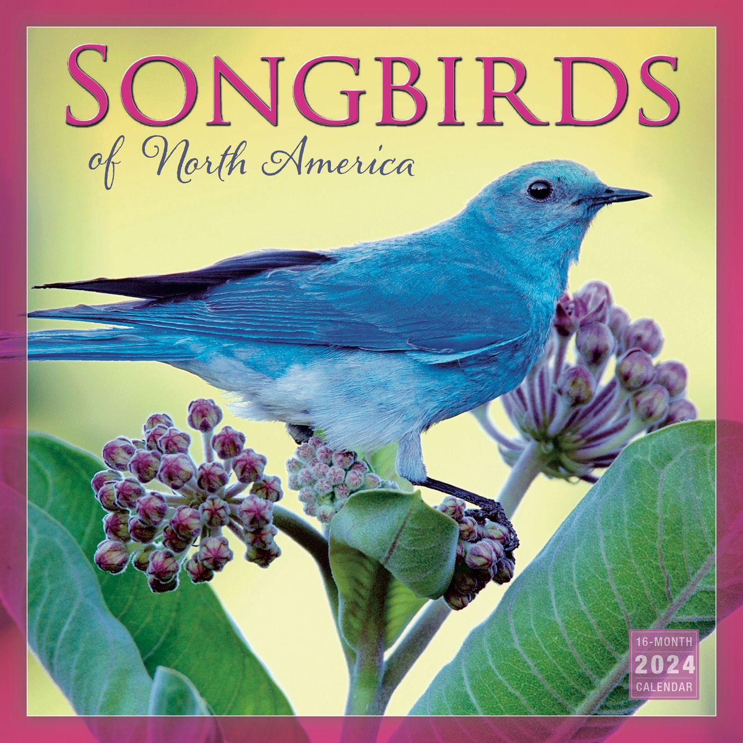 Songbirds 2024 Wall Calendar