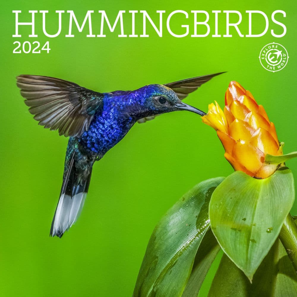 Hummingbirds 2024 Mini Wall Calendar