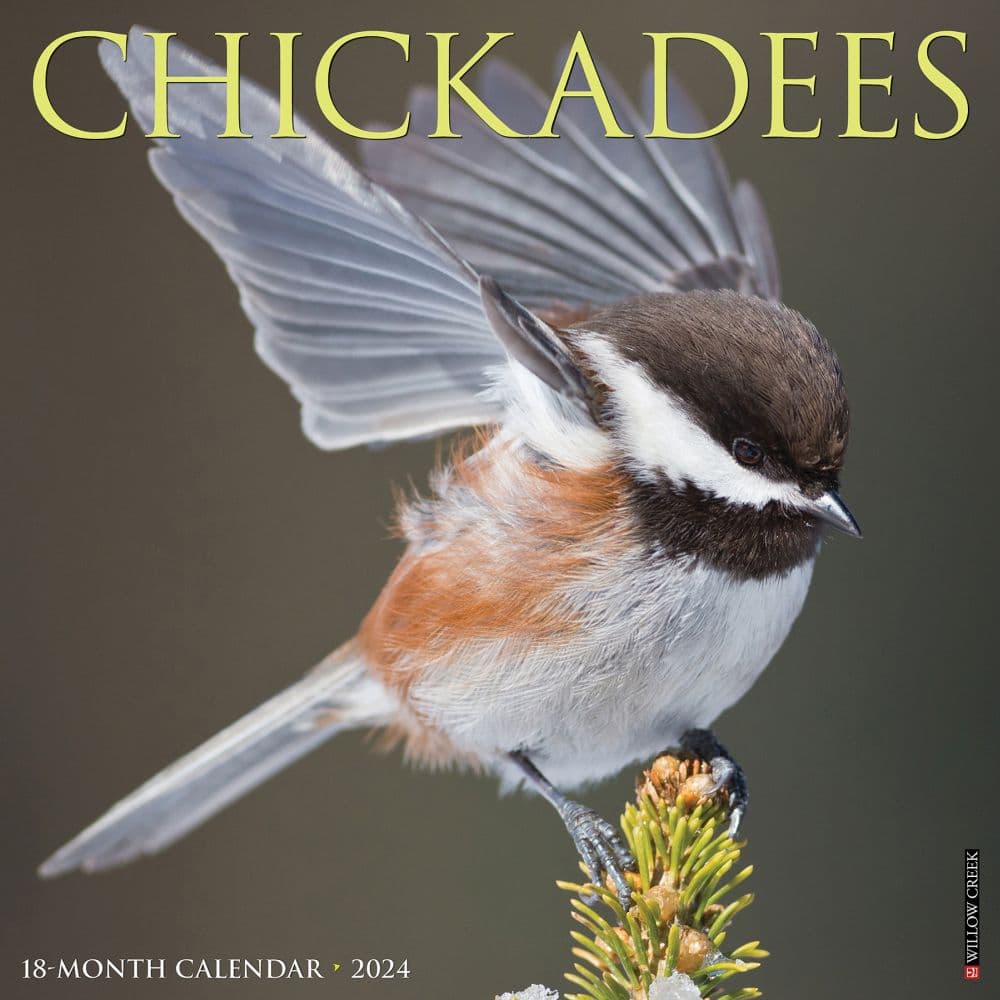 Chickadees 2024 Wall Calendar