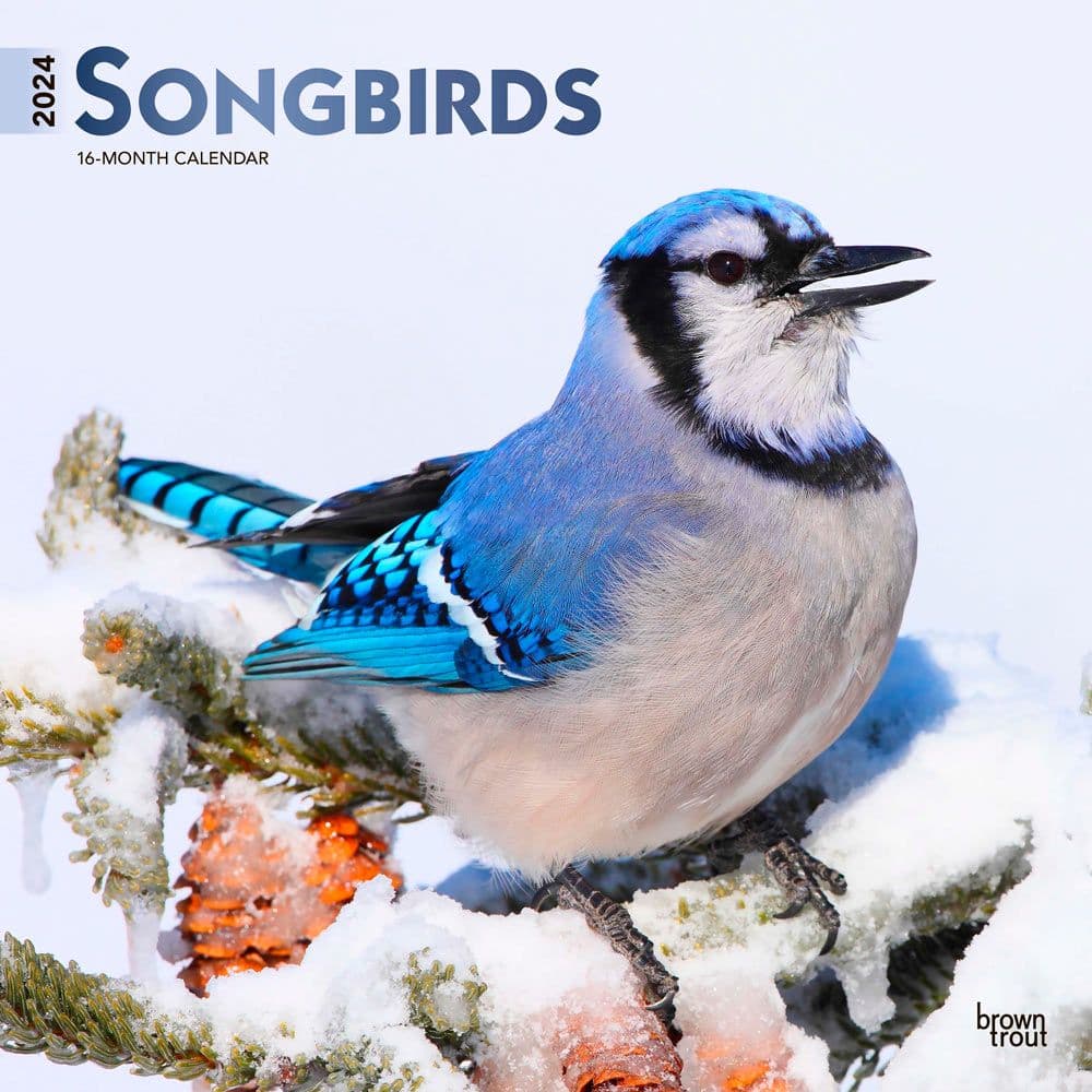 Songbirds 2024 Wall Calendar