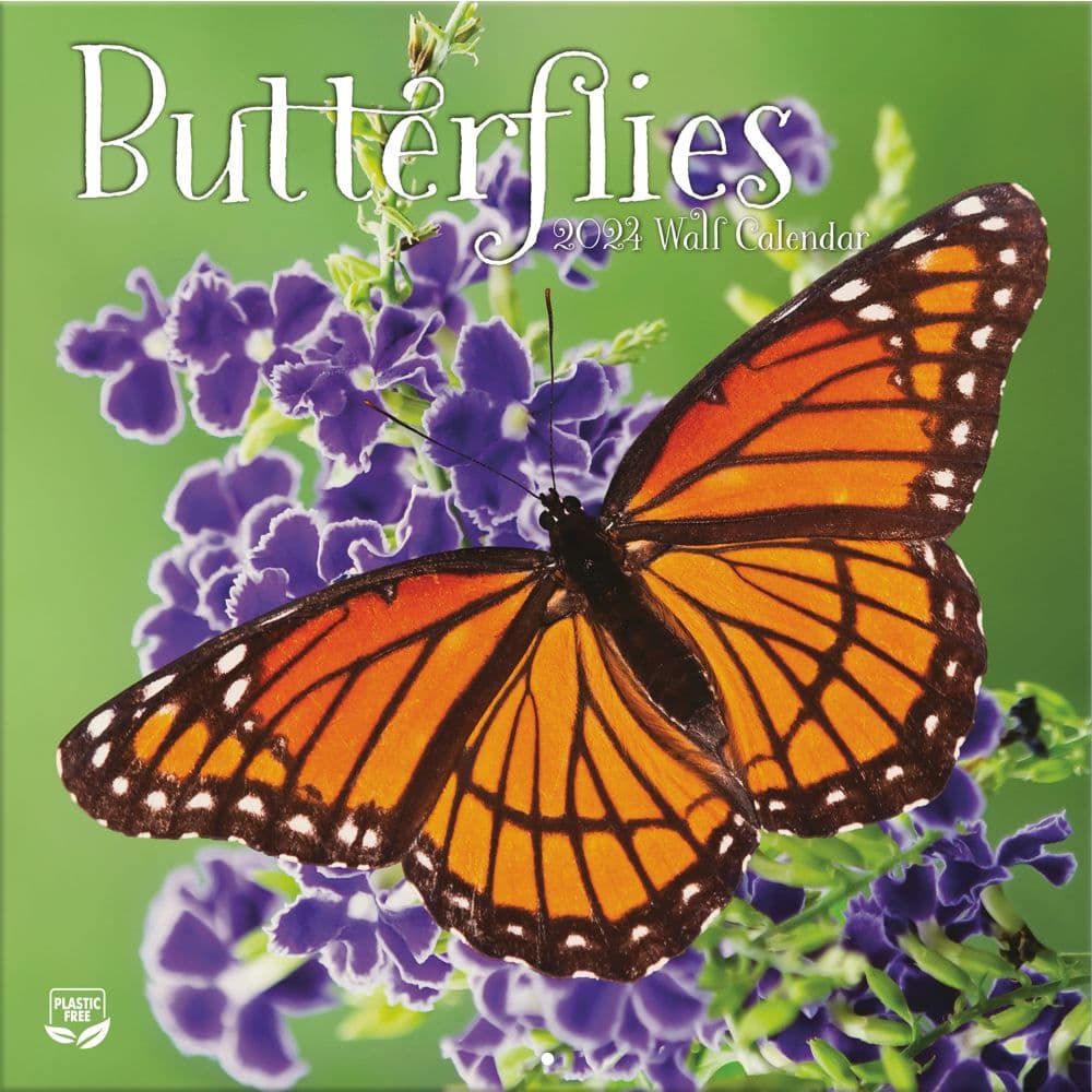 Butterflies 2024 Wall Calendar