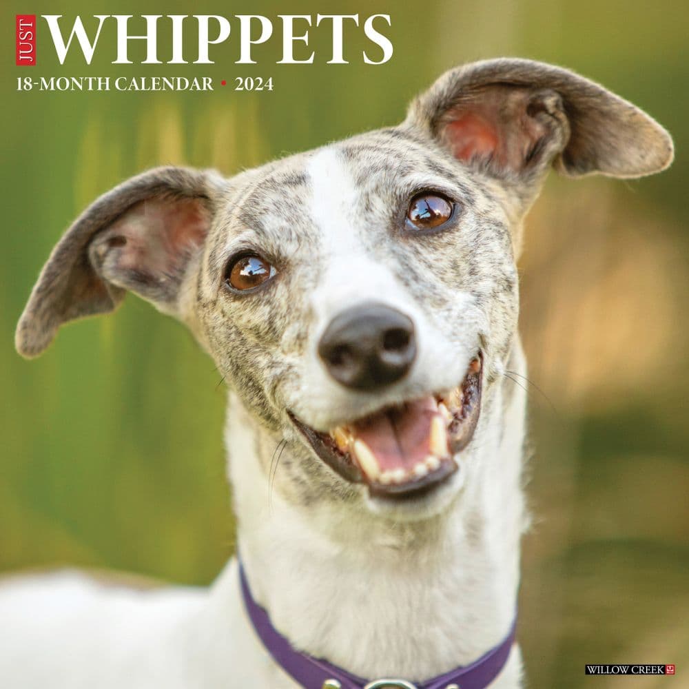 Just Whippets 2024 Wall Calendar