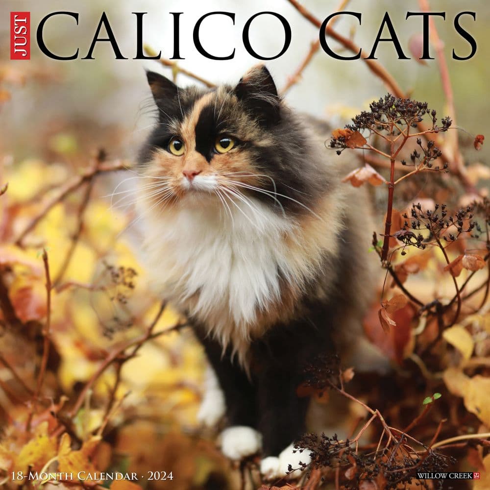 Just Calico Cats 2024 Wall Calendar